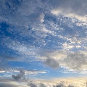 Meet your Posher, Arielle